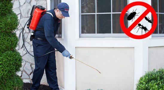 Yenipazar Tahtakurusu İlaçlama böcek ilaçlama ve haşere kontrolü — ilaclama-tr.com